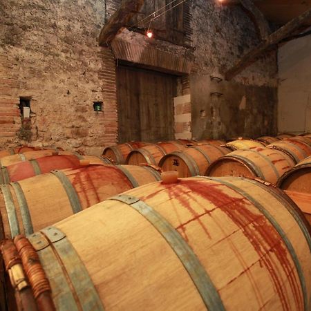 Château de Mayragues Castelnau-de-Montmiral Extérieur photo