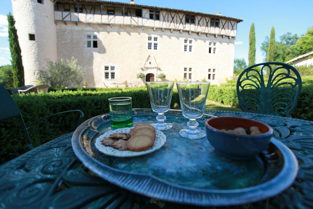 Château de Mayragues Castelnau-de-Montmiral Extérieur photo